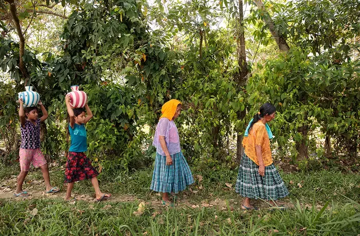 Two women and two girls walk along a path carrying large water containers on their heads, surrounded by trees.