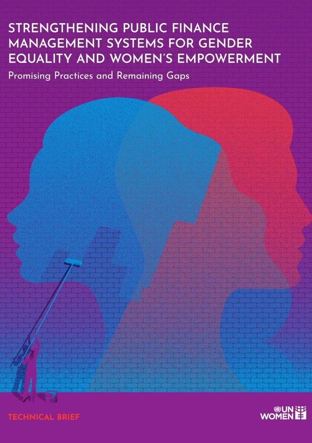 Strengthening public finance management systems for gender equality and women’s empowerment: Promising practices and remaining gaps