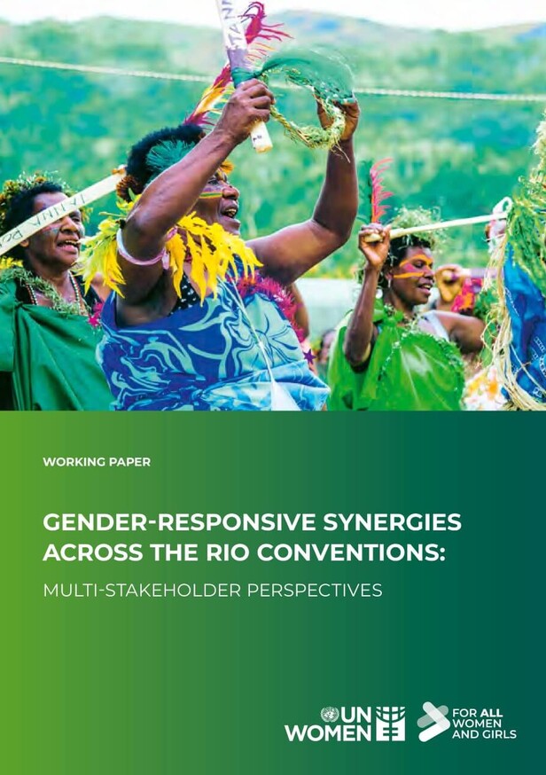 Gender-responsive synergies across the Rio Conventions: Multi-stakeholder perspectives