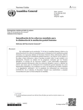 Intensificación de los esfuerzos mundiales para la eliminación de la mutilación genital femenina: Informe del Secretario General (2022)