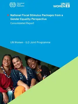 national fiscal stimulus packages from a gender equality perspective