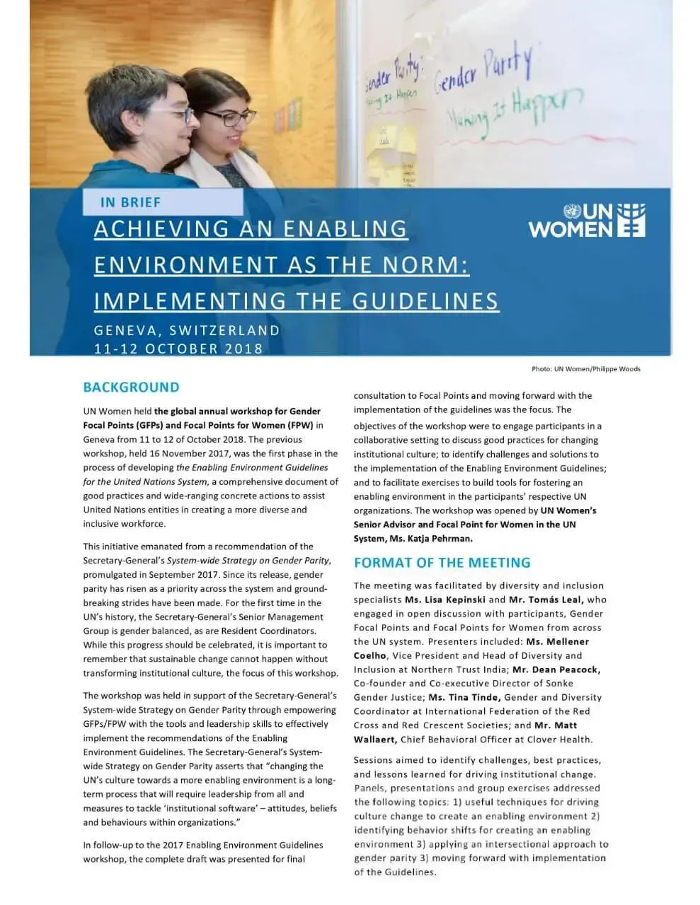 Achieving an enabling environment as the norm: Implementing the guidelines